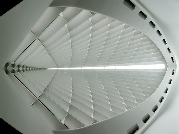Wing