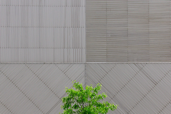 Tree Line