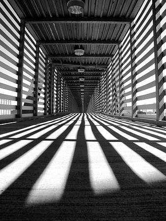 Zebra Crossing
