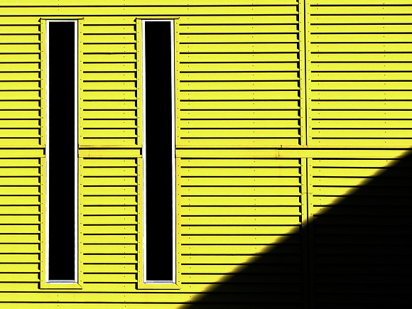 Yellow Shade