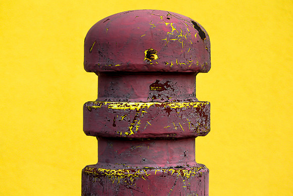 Rebel Yellow