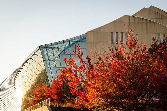 Kauffman Fall